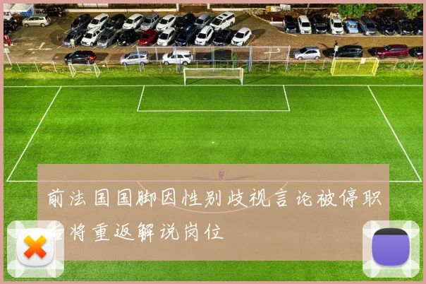 前法国国脚因性别歧视言论被停职后将重返解说岗位