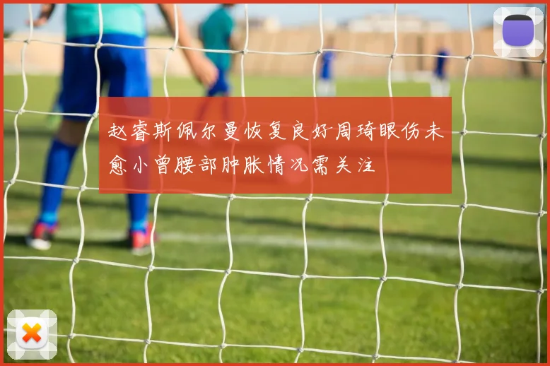 赵睿斯佩尔曼恢复良好周琦眼伤未愈小曾腰部肿胀情况需关注