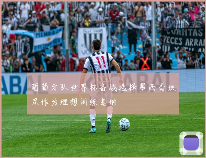 葡萄牙队世界杯备战选择墨西哥坎昆作为理想训练基地