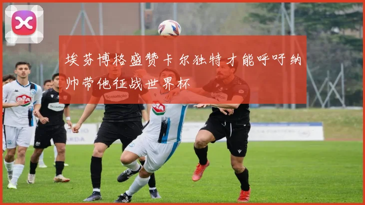埃芬博格盛赞卡尔独特才能呼吁纳帅带他征战世界杯