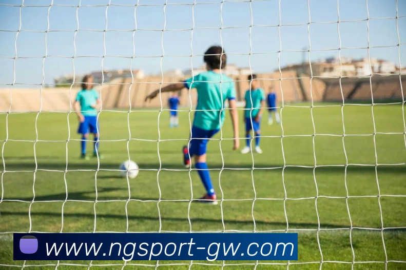 南宫体育平台生态图