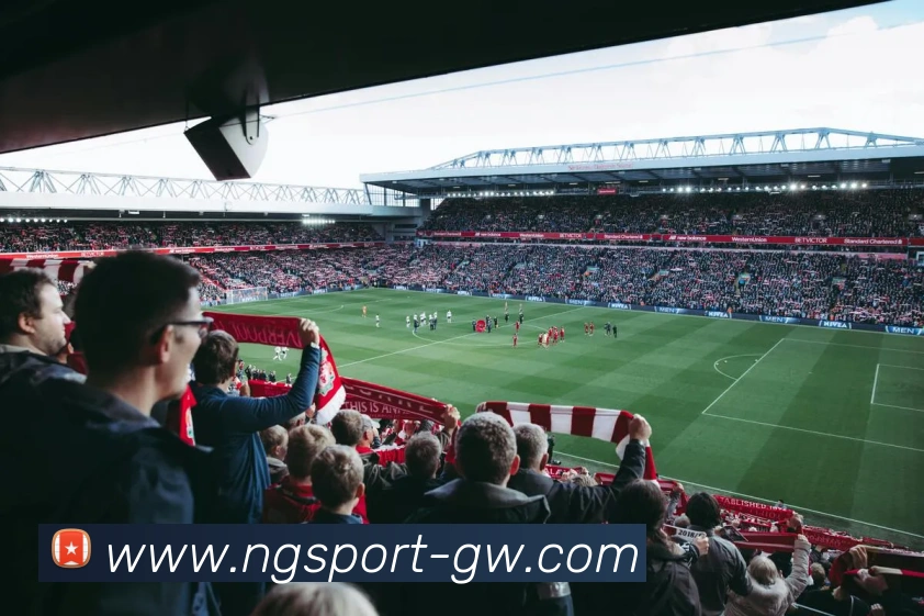 南宫体育APP 封面图